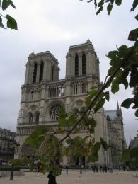thumbs/10-Notre-Dame-dietro-un-ram.jpg